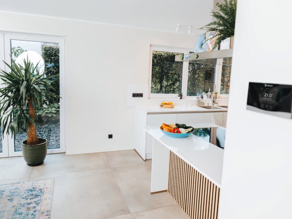 Kamer met plant, keuken en thermostaat